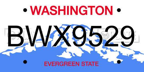 BWX9529 Washington License Plate