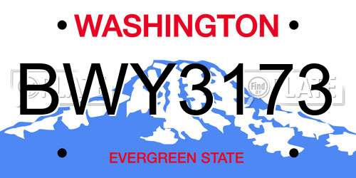 BWY3173 Washington License Plate