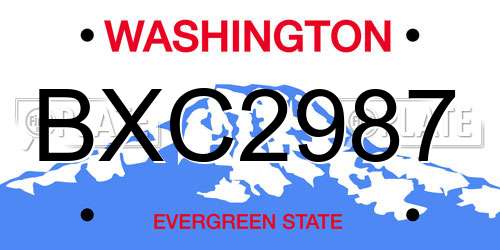 BXC2987 Washington License Plate