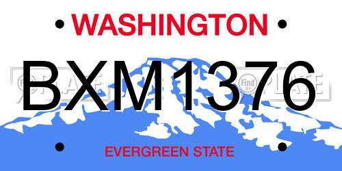BXM1376 Washington License Plate