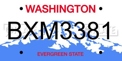 BXM3381 Washington License Plate