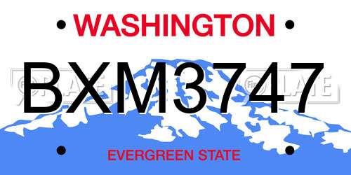 BXM3747 Washington License Plate