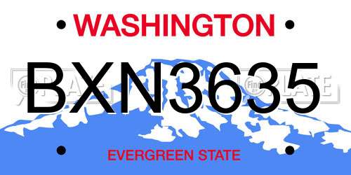 BXN3635 Washington License Plate