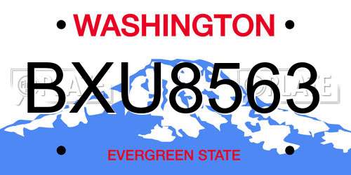 BXU8563 Washington License Plate