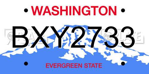 BXY2733 Washington License Plate