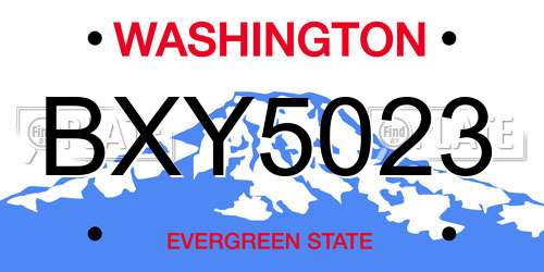 BXY5023 Washington License Plate