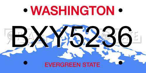 BXY5236 Washington License Plate