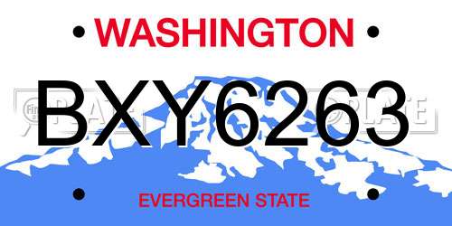 BXY6263 Washington License Plate