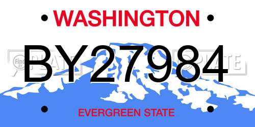 BY27984 Washington License Plate