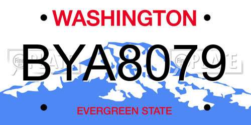 BYA8079 Washington License Plate