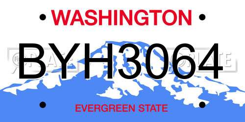 BYH3064 Washington License Plate