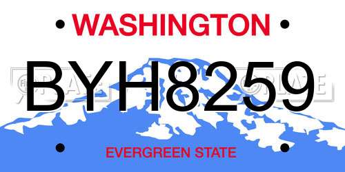 BYH8259 Washington License Plate