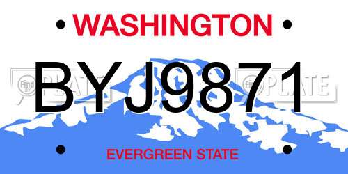 BYJ9871 Washington License Plate