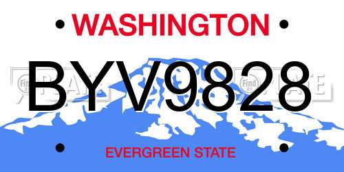 BYV9828 Washington License Plate