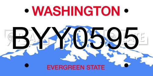 BYY0595 Washington License Plate