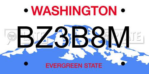 BZ3B8M Washington License Plate