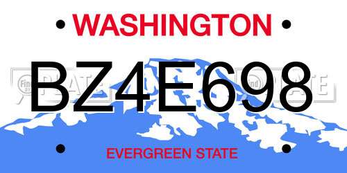 BZ4E698 Washington License Plate