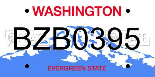 BZB0395 Washington License Plate