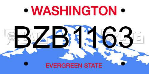 BZB1163 Washington License Plate
