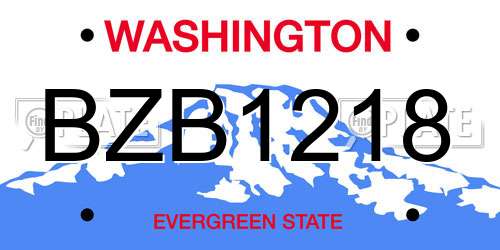 BZB1218 Washington License Plate