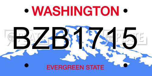 BZB1715 Washington License Plate