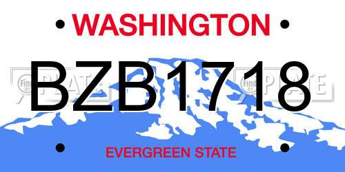 BZB1718 Washington License Plate