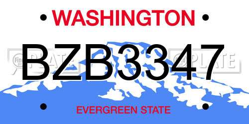 BZB3347 Washington License Plate