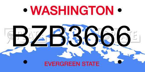 BZB3666 Washington License Plate