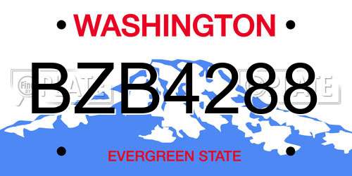 BZB4288 Washington License Plate