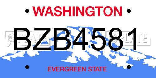 BZB4581 Washington License Plate