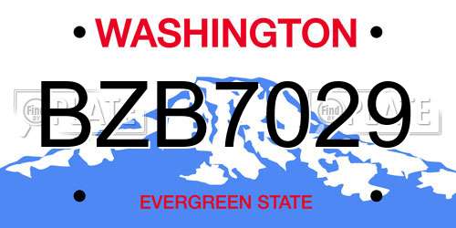 BZB7029 Washington License Plate