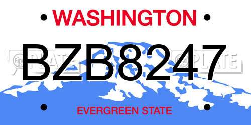 BZB8247 Washington License Plate