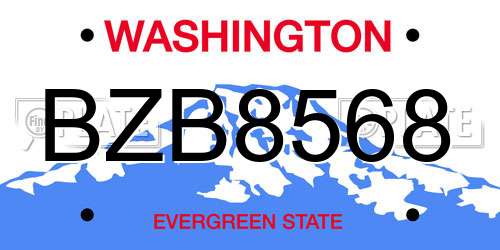 BZB8568 Washington License Plate