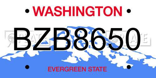 BZB8650 Washington License Plate