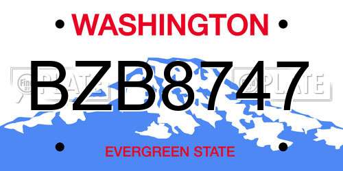 BZB8747 Washington License Plate