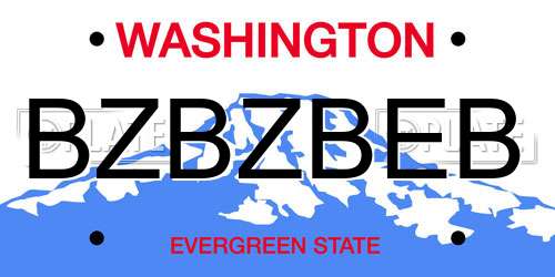 BZBZBEB Washington License Plate