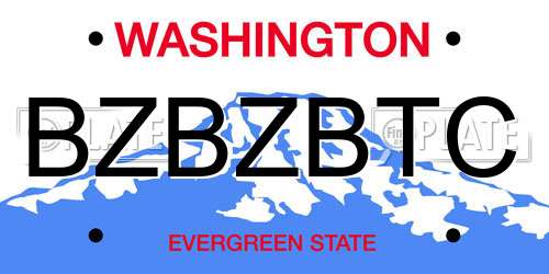 BZBZBTC Washington License Plate