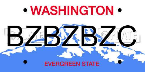 BZBZBZC Washington License Plate