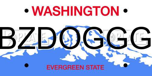 BZDOGGG Washington License Plate