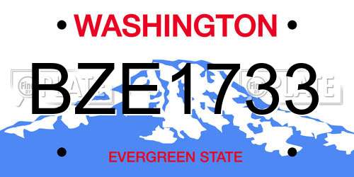 BZE1733 Washington License Plate
