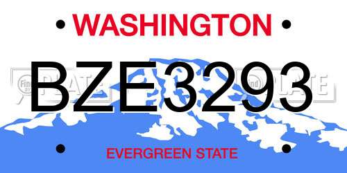 BZE3293 Washington License Plate