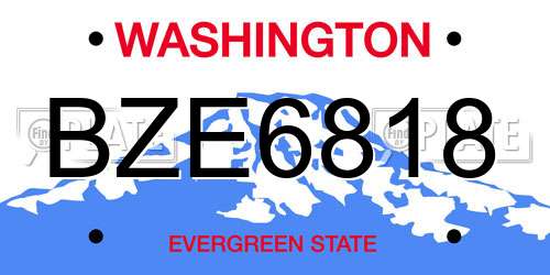 BZE6818 Washington License Plate