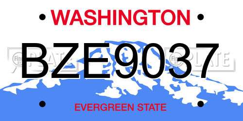 BZE9037 Washington License Plate