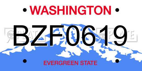 BZF0619 Washington License Plate