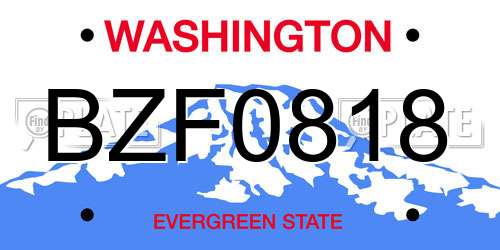 BZF0818 Washington License Plate