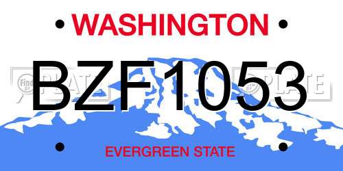 BZF1053 Washington License Plate