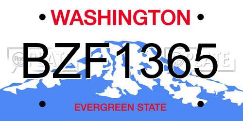 BZF1365 Washington License Plate