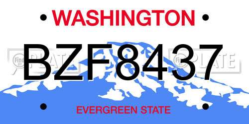 BZF8437 Washington License Plate
