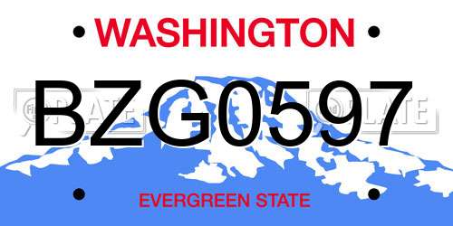 BZG0597 Washington License Plate