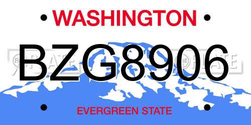 BZG8906 Washington License Plate